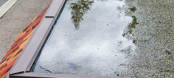 Flat Roof Ponding in Calgary and Edmonton
